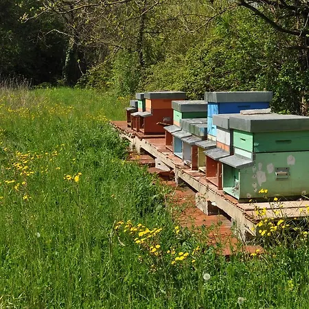 Visconte Holiday home *