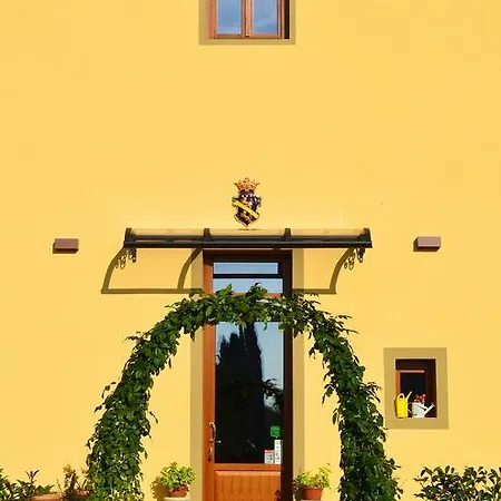 Visconte *