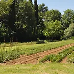 Casa vacanze Visconte *