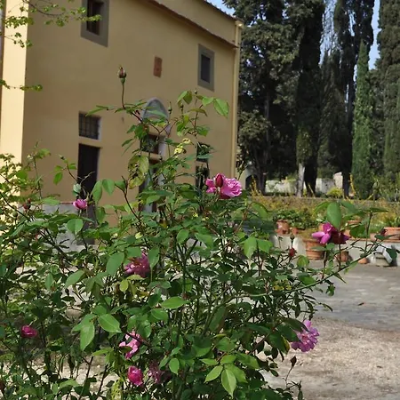Visconte